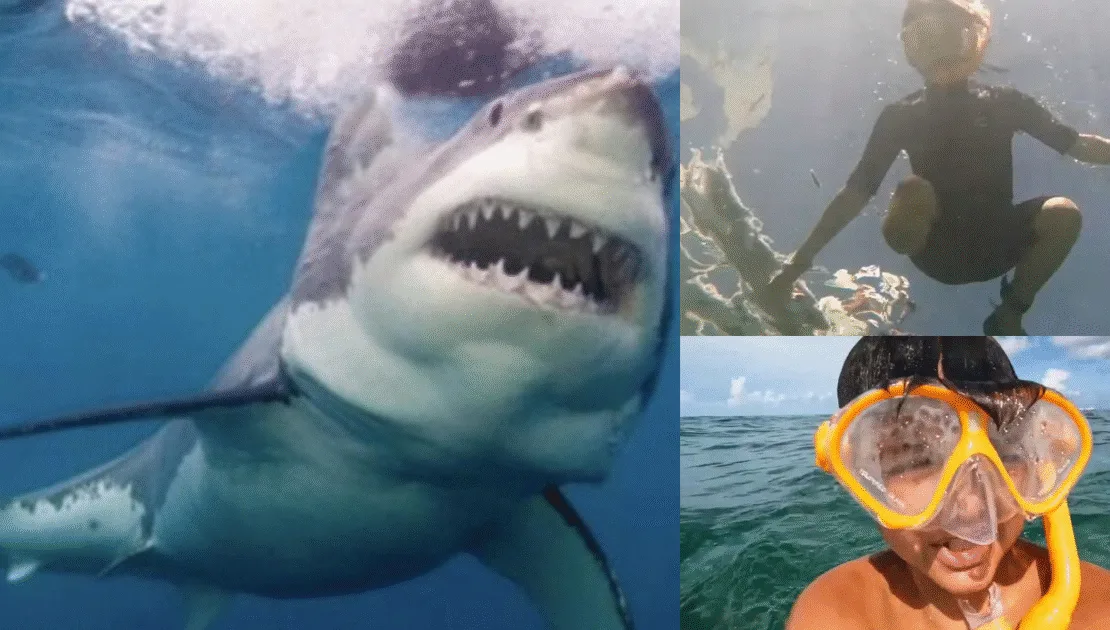 Jameson Reeder Jr., the boy who survived a shark attack and credits Jesus for his miraculous survival