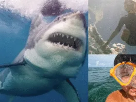 Jameson Reeder Jr., the boy who survived a shark attack and credits Jesus for his miraculous survival
