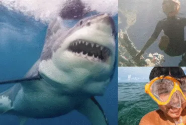 Jameson Reeder Jr., the boy who survived a shark attack and credits Jesus for his miraculous survival
