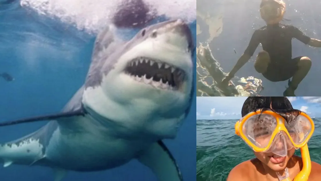 Jameson Reeder Jr., the boy who survived a shark attack and credits Jesus for his miraculous survival