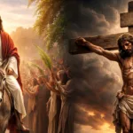 hy Jesus Walked on That Donkey – The One That Led to His Death":