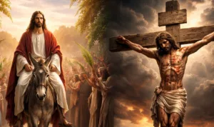 hy Jesus Walked on That Donkey – The One That Led to His Death":